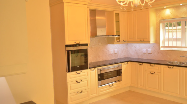 Classic style kitchen