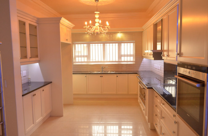 Classic style kitchen